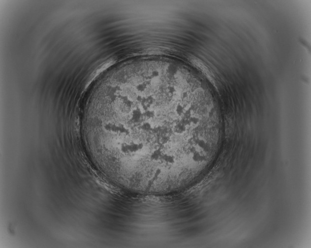 X0000091330827200708311435