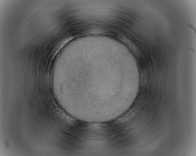 X0000091330828200708311435