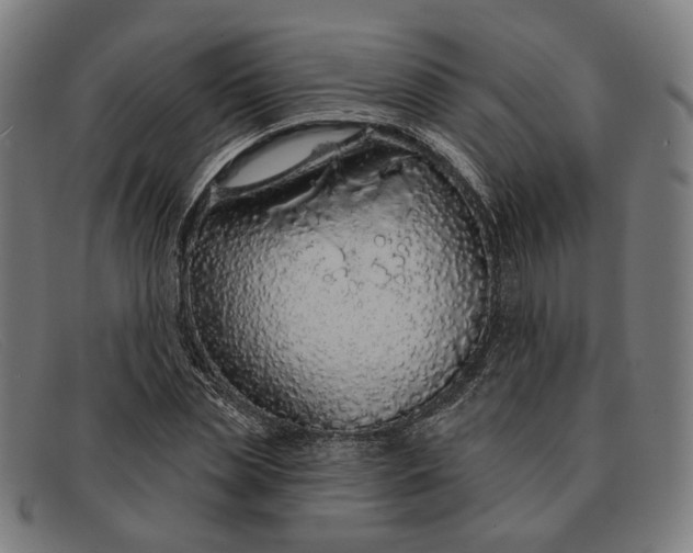 X0000091330829200708311435