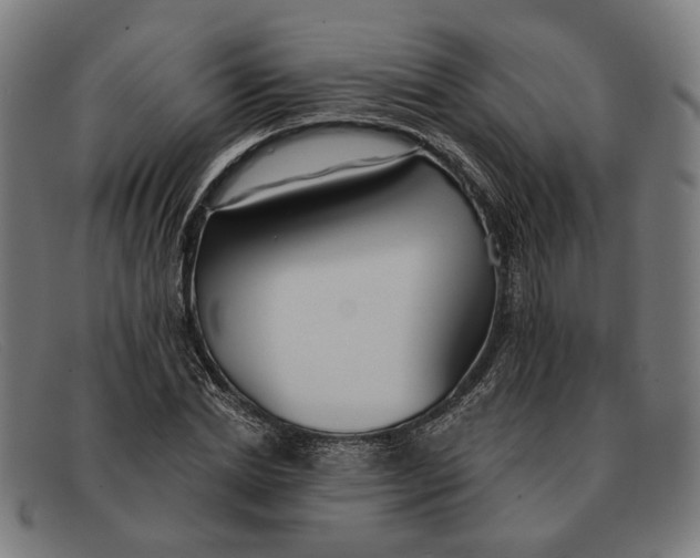 X0000091330830200708311435