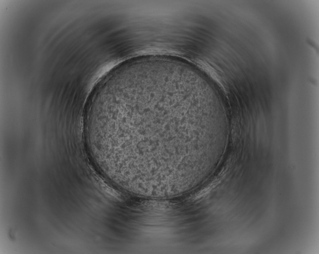 X0000091330831200708311435