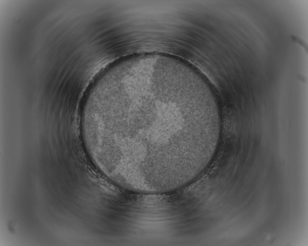 X0000091330832200708311435