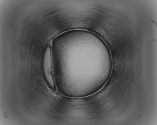 X0000091330833200708311435