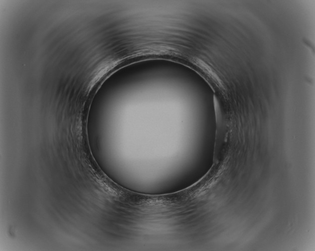X0000091330834200708311435