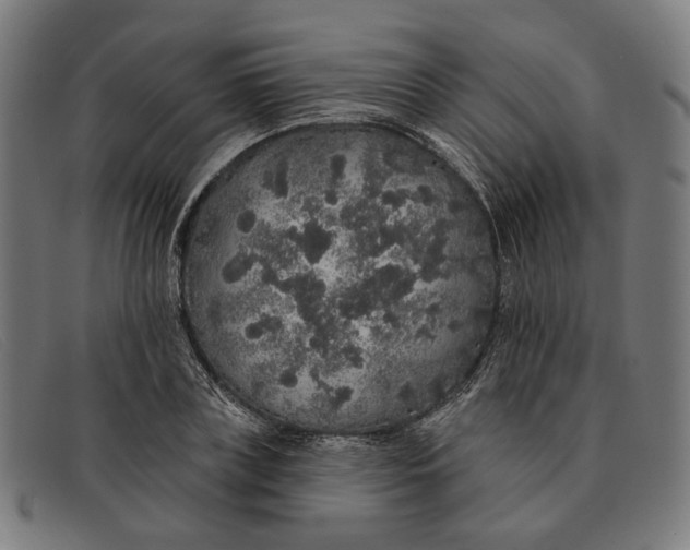 X0000091330835200708311435