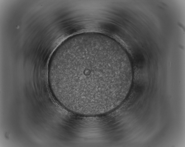 X0000091330836200708311435