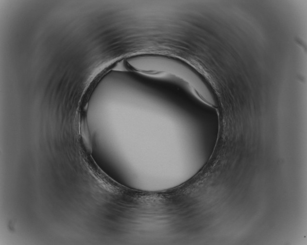 X0000091330838200708311435