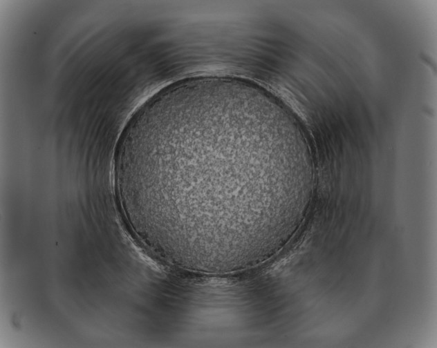 X0000091330839200708311435