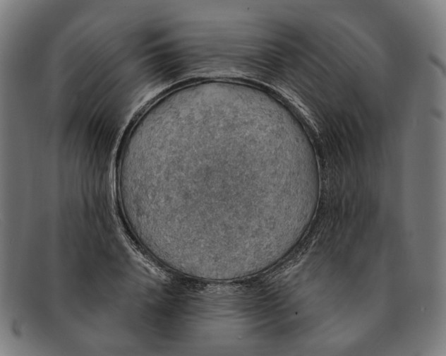 X0000091330840200708311435