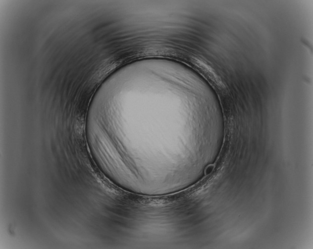 X0000091330841200708311435