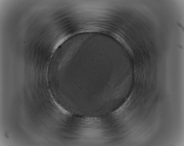 X0000091330842200708311435