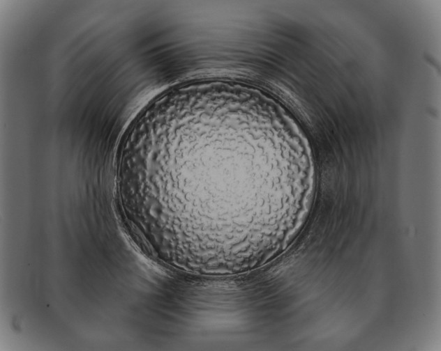 X0000091330844200708311435