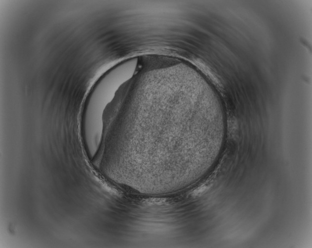 X0000091330846200708311435