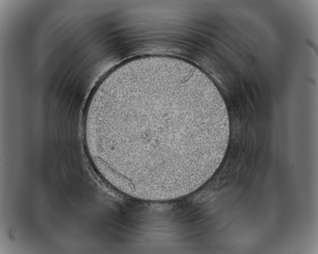 X0000091330848200708311435