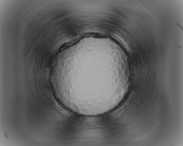 X0000091330849200708311435
