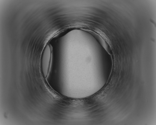 X0000091330850200708311435