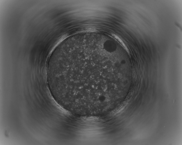 X0000091330851200708311435