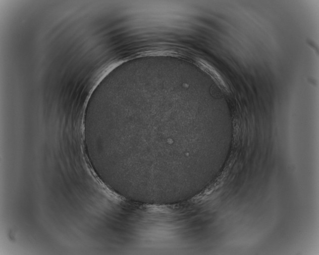 X0000091330852200708311435