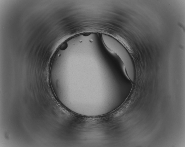 X0000091330854200708311435
