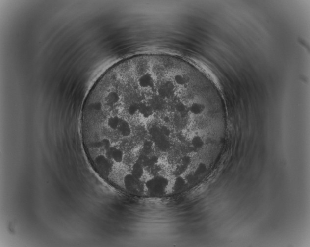 X0000091330855200708311435