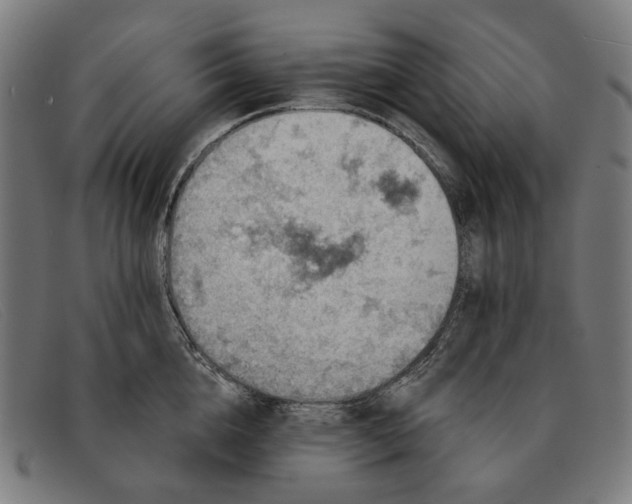 X0000091330856200708311435