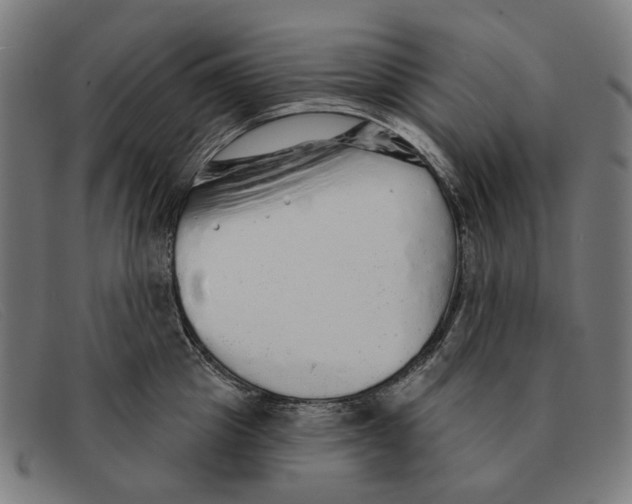 X0000091330857200708311435