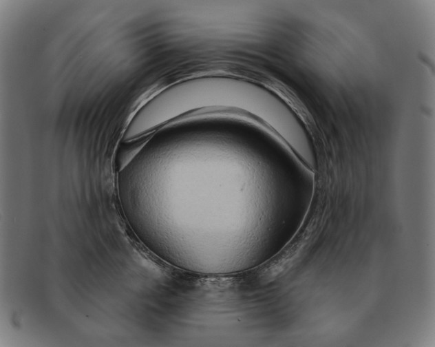 X0000091330858200708311435