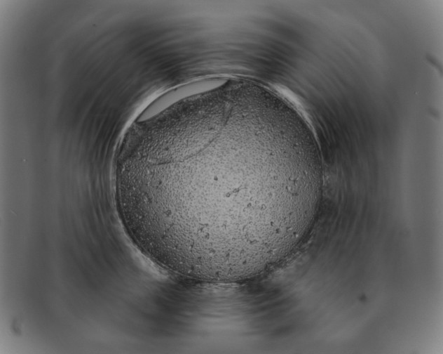 X0000091330859200708311435
