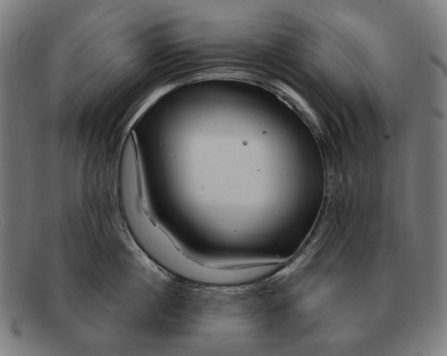 X0000091330860200708311435