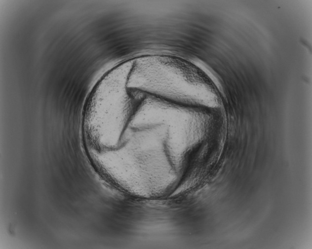 X0000091330861200708311435