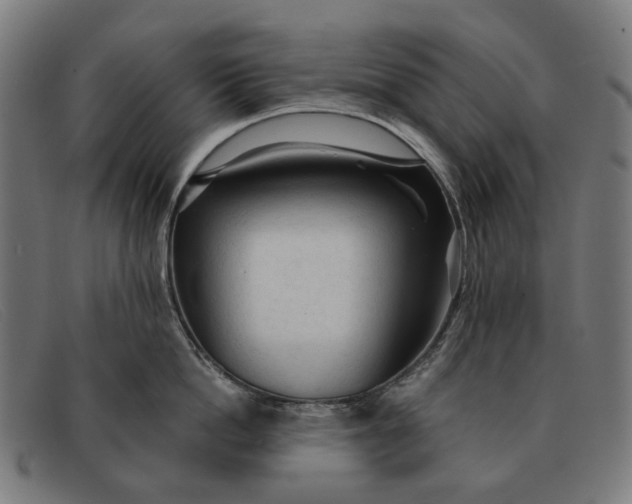 X0000091330862200708311435