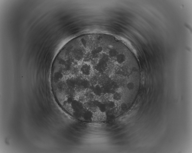 X0000091330863200708311435
