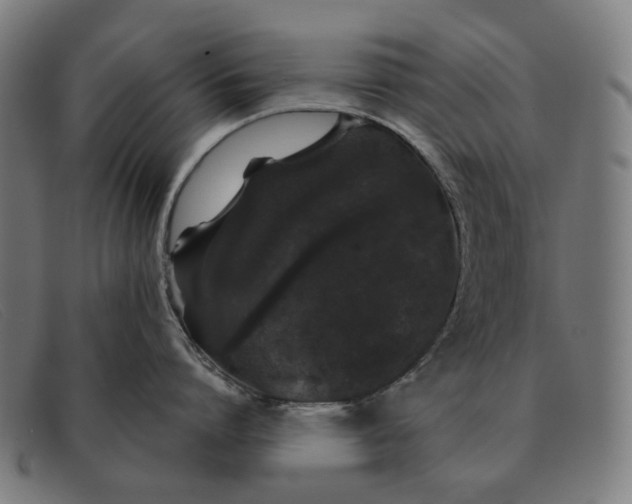 X0000091330864200708311435