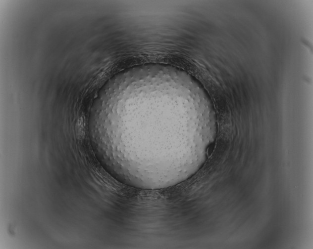 X0000091330866200708311434