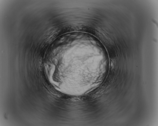 X0000091330867200708311434