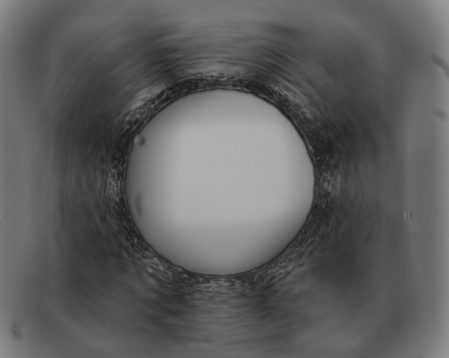 X0000091330869200708311434