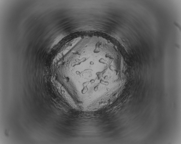 X0000091330871200708311434