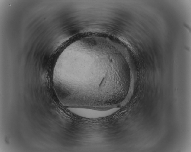 X0000091330872200708311434