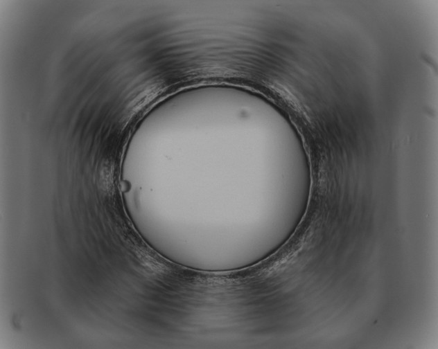X0000091330873200708311434