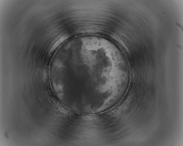 X0000091330874200708311434