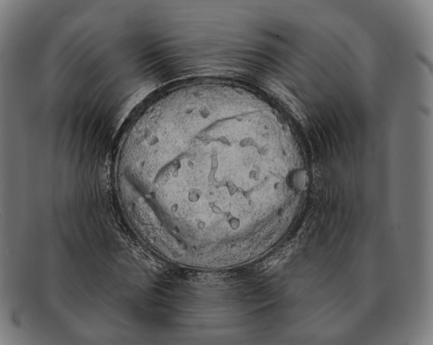X0000091330875200708311434