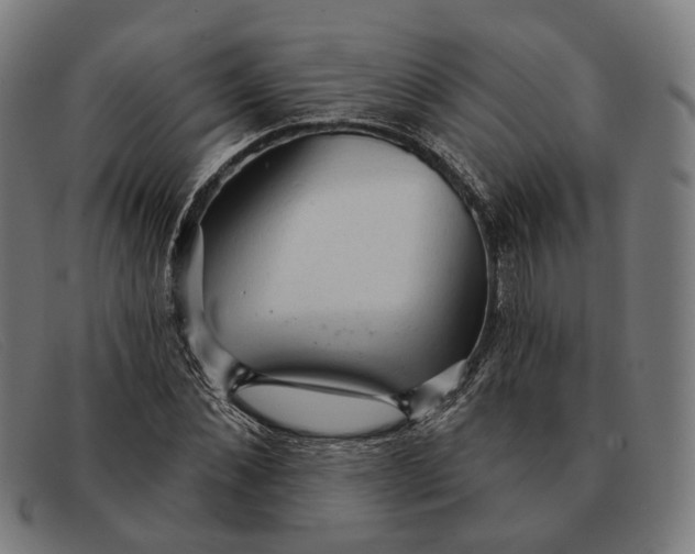 X0000091330876200708311434