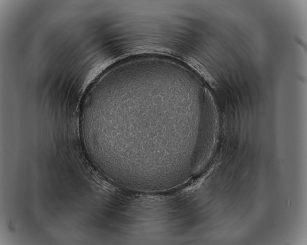 X0000091330877200708311434
