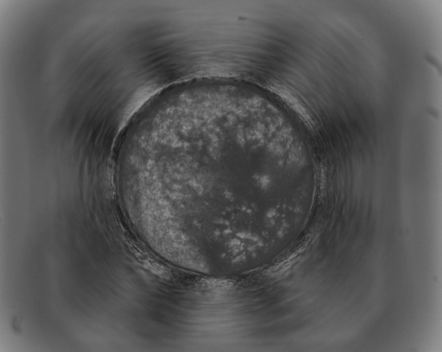 X0000091330878200708311434