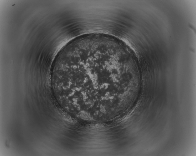X0000091330879200708311434