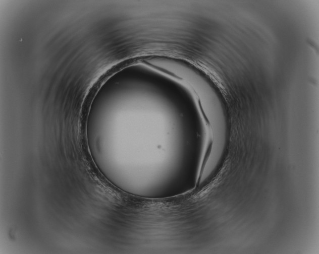 X0000091330880200708311434