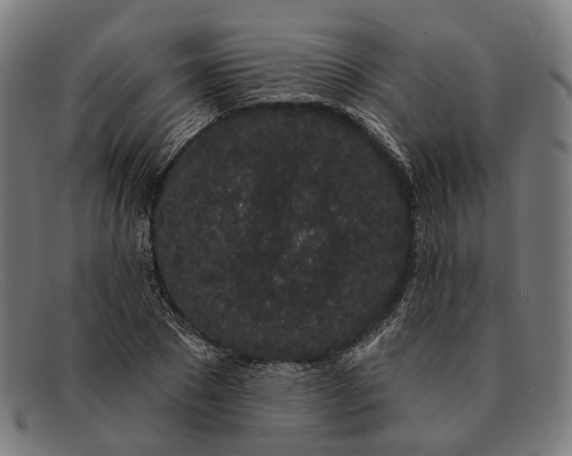 X0000091330881200708311434