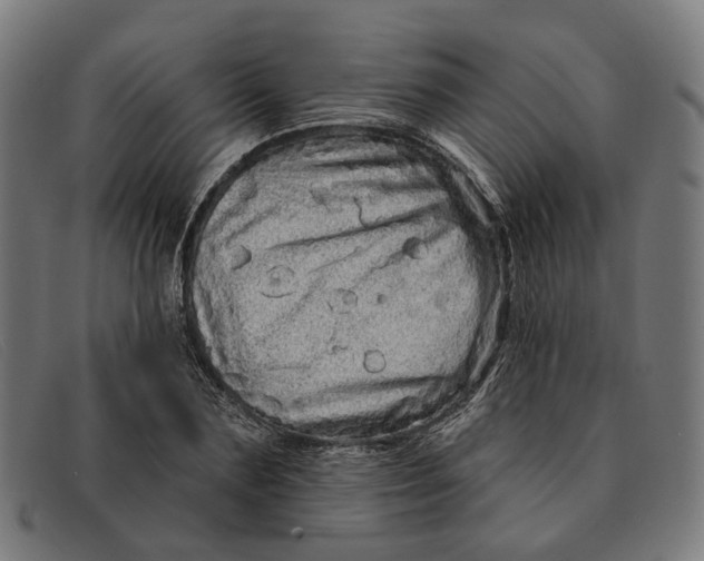 X0000091330883200708311434