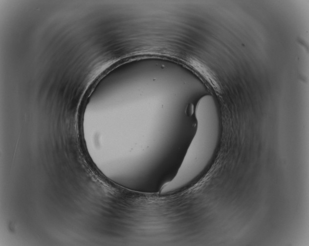 X0000091330884200708311434