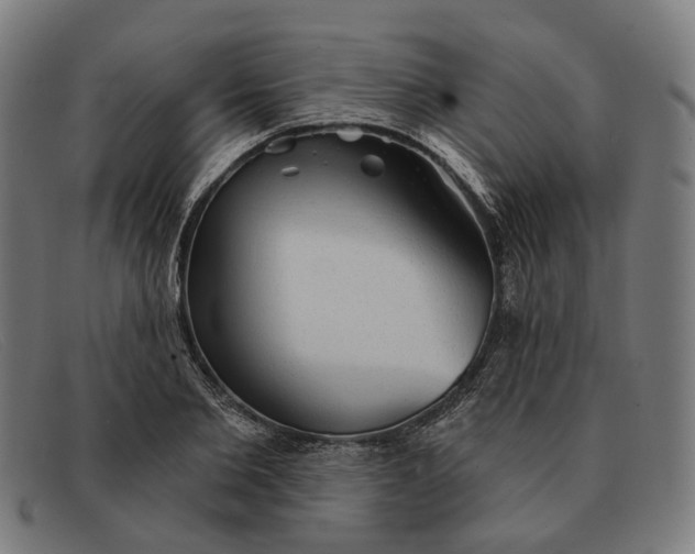 X0000091330885200708311434
